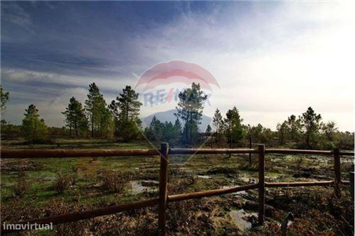 Terreno  para venda - Grande imagem: 3/4