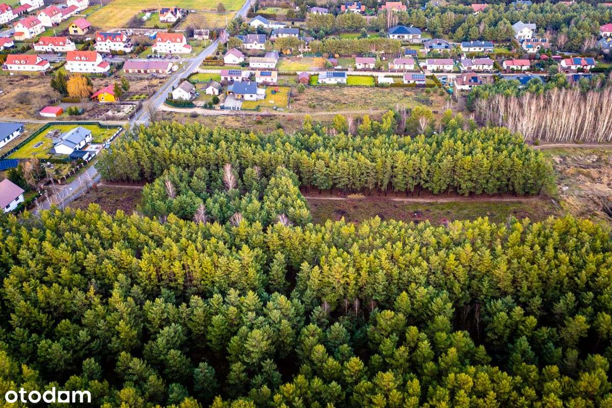 Duża działka częściowo zalesiona niedaleko jeziora-4