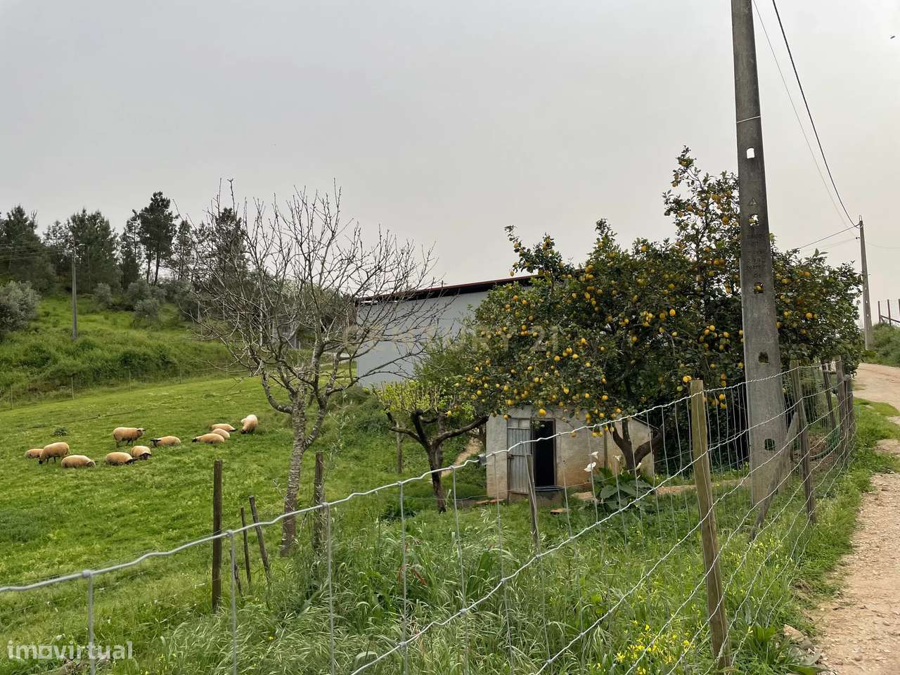 Terreno rústico para venda em Martinchel - Grande imagem: 4/8