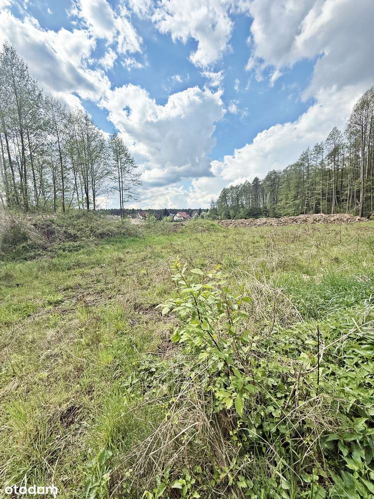 Urocza działka w Z.Górze na uboczu-4