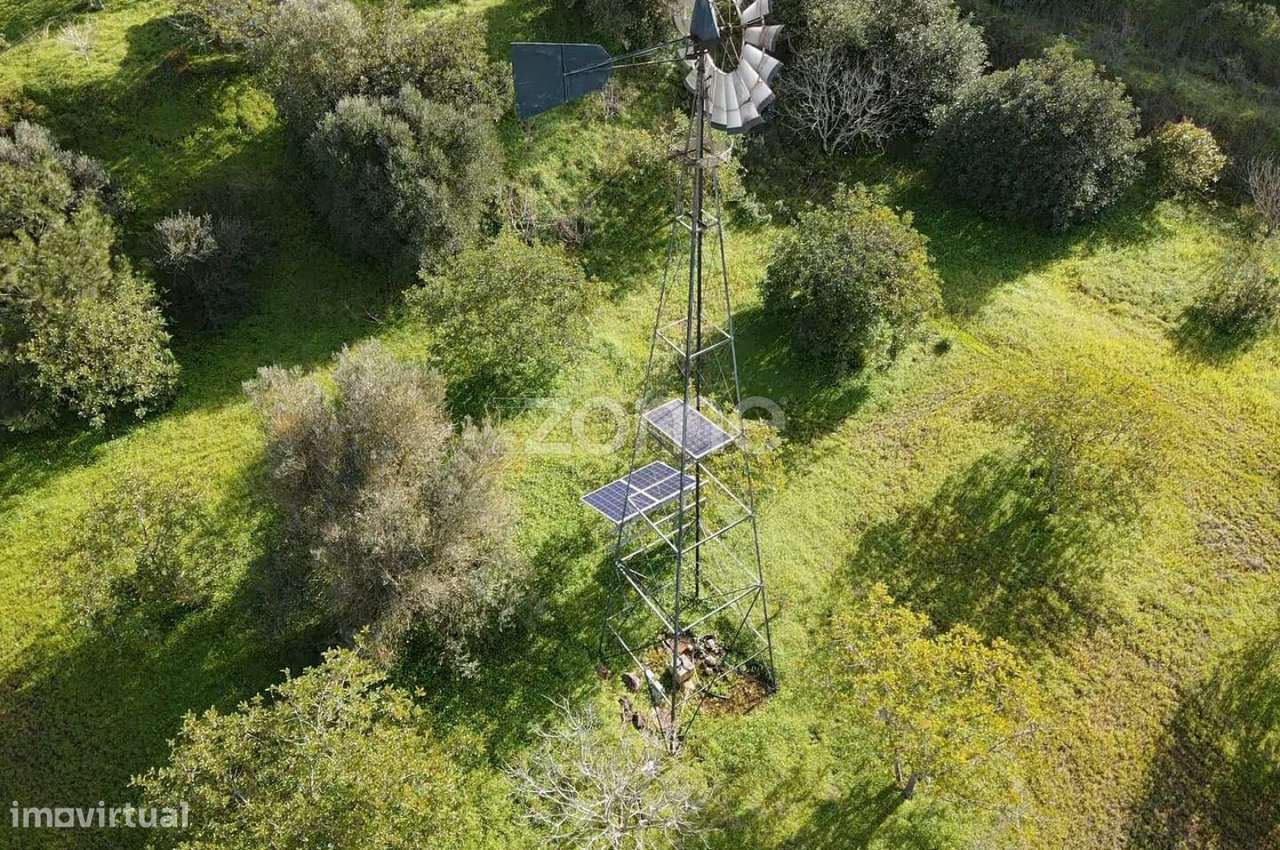 Terreno c/ Furo e Alfarrobeiras em Amorosa, Messines com 13.460m2 - Grande imagem: 5/37