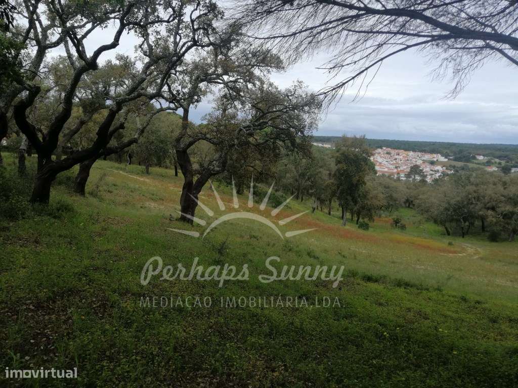 Quinta - Melides - Grande imagem: 5/28