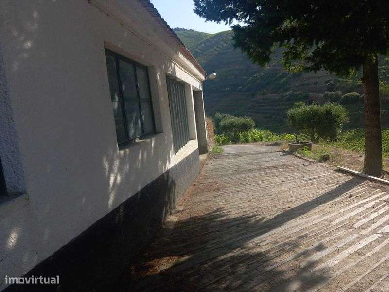 Vende-se Quinta no Douro - Grande imagem: 5/5