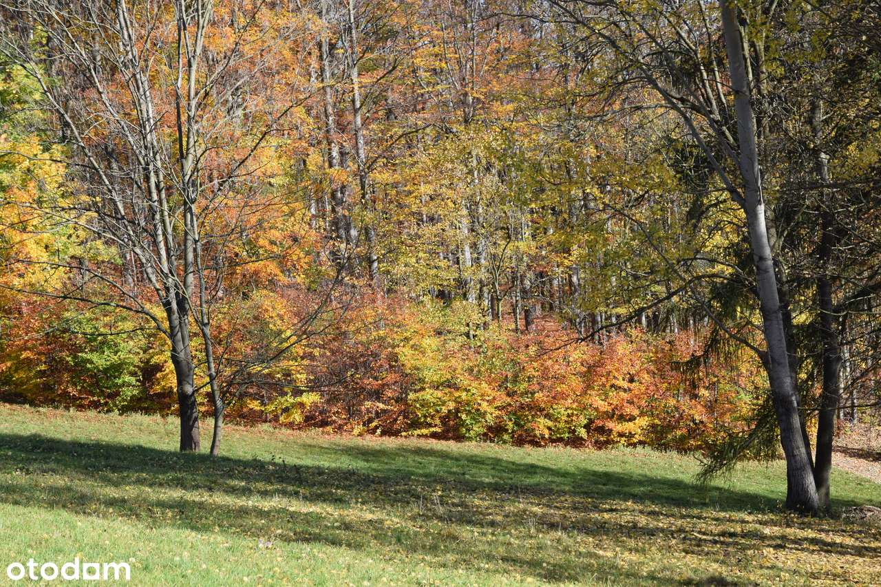 Działka w górach z decyzją o warunkach zabudowy, okolice Karpacza-16