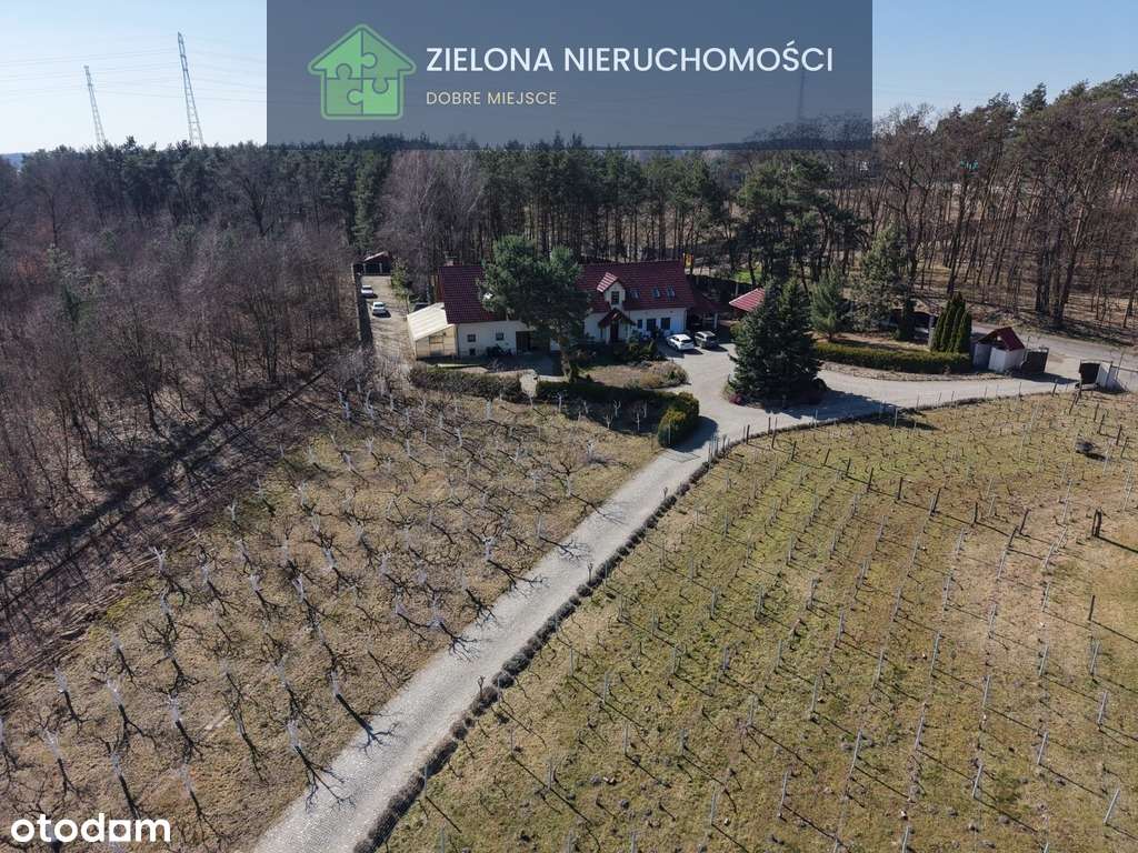 Posiadłość z winnicą w Zielonej Górze-19