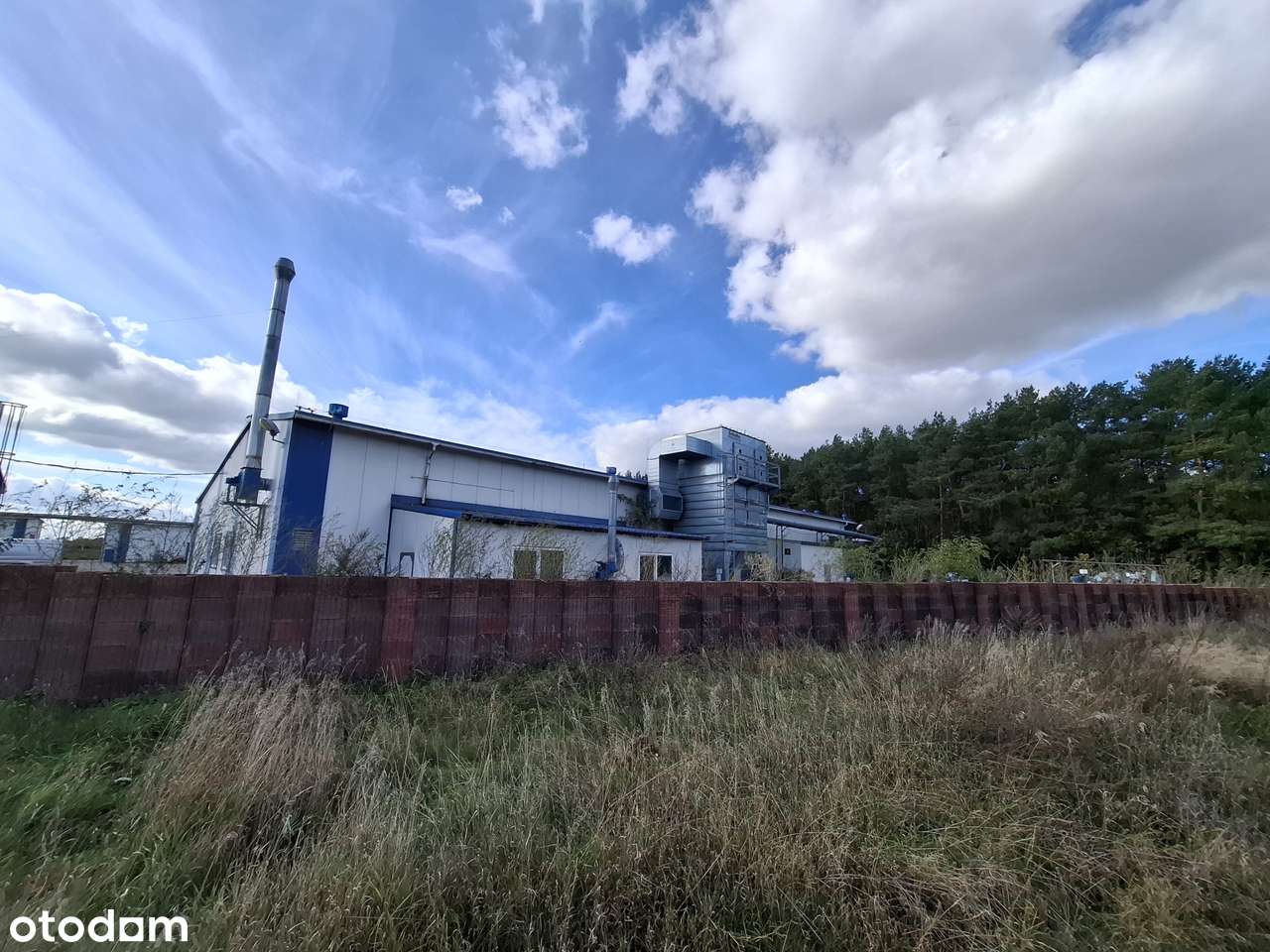 hale produkcyjne i magazyny w Dzierżowie obok Gorzowa Wielkopolskiego-4