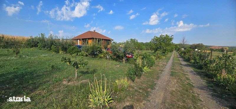 Vand teren Zaicesti (Botosani) cu cabanuta de lemn - Imagine principală: 4/7