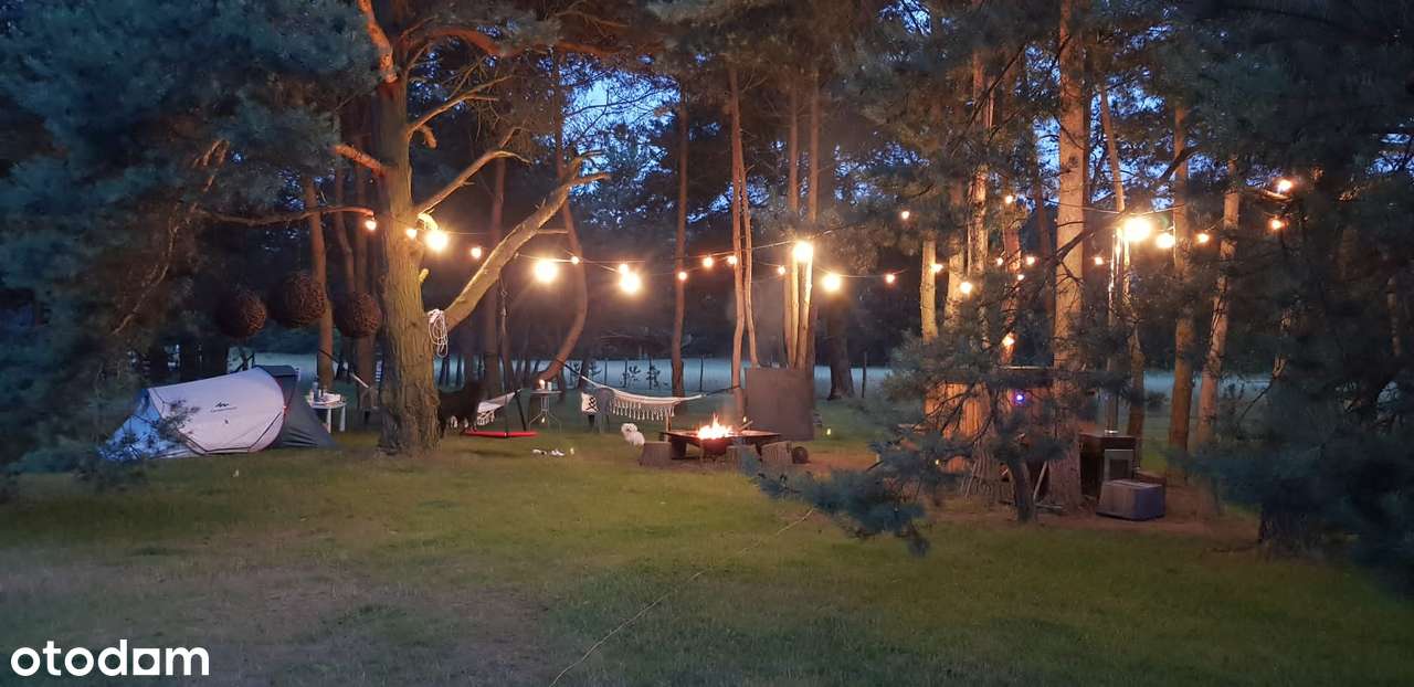 Atrakcyjna działka budowlana Nowa cena! - Pełny obrazek: 4/5