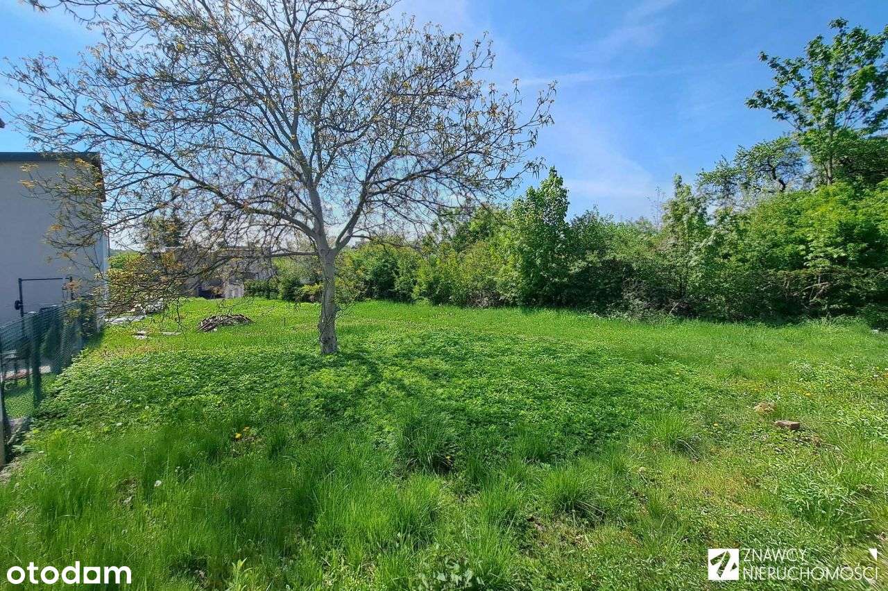 Działka, Mpzp: zabudowa jednorodzinna i usługowa - Pełny obrazek: 5/10