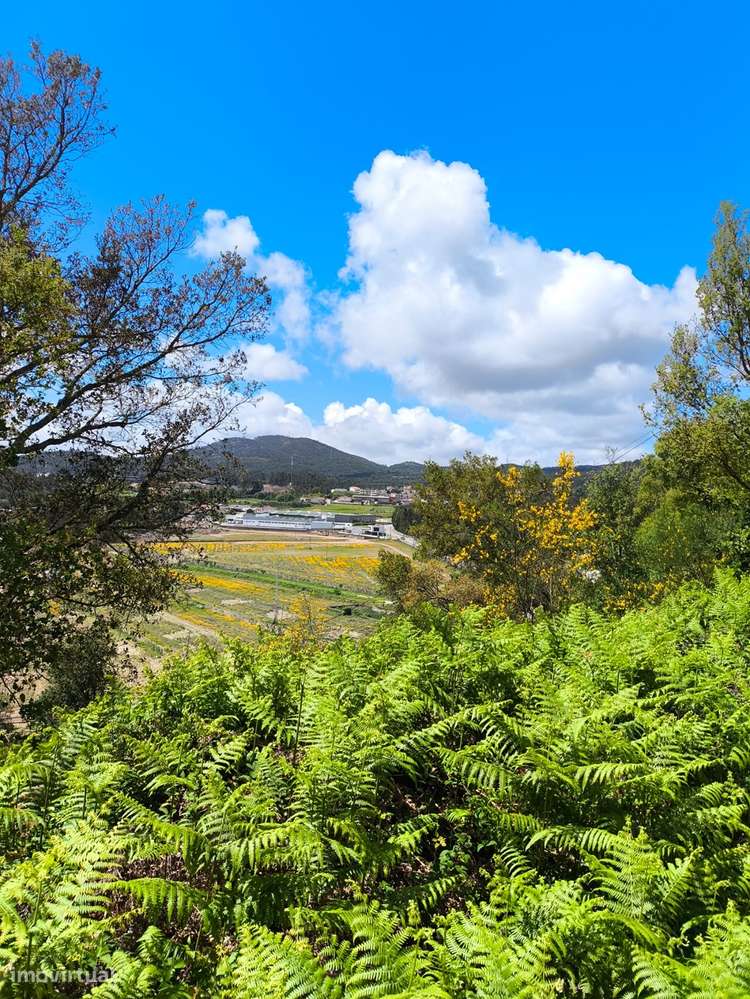 Terreno  Venda em Abade de Neiva,Barcelos-18