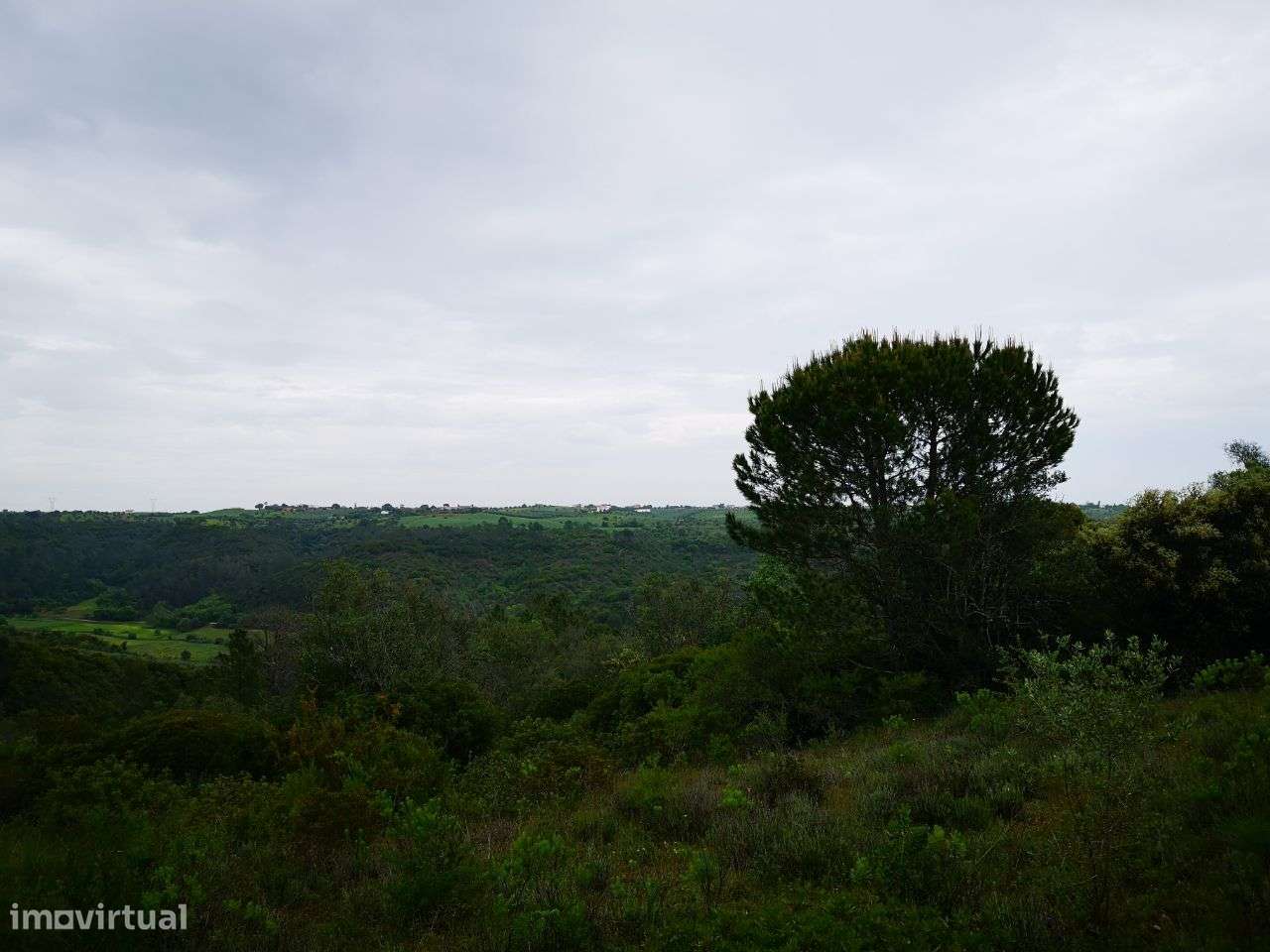 Terreno 57ha Santarém-10