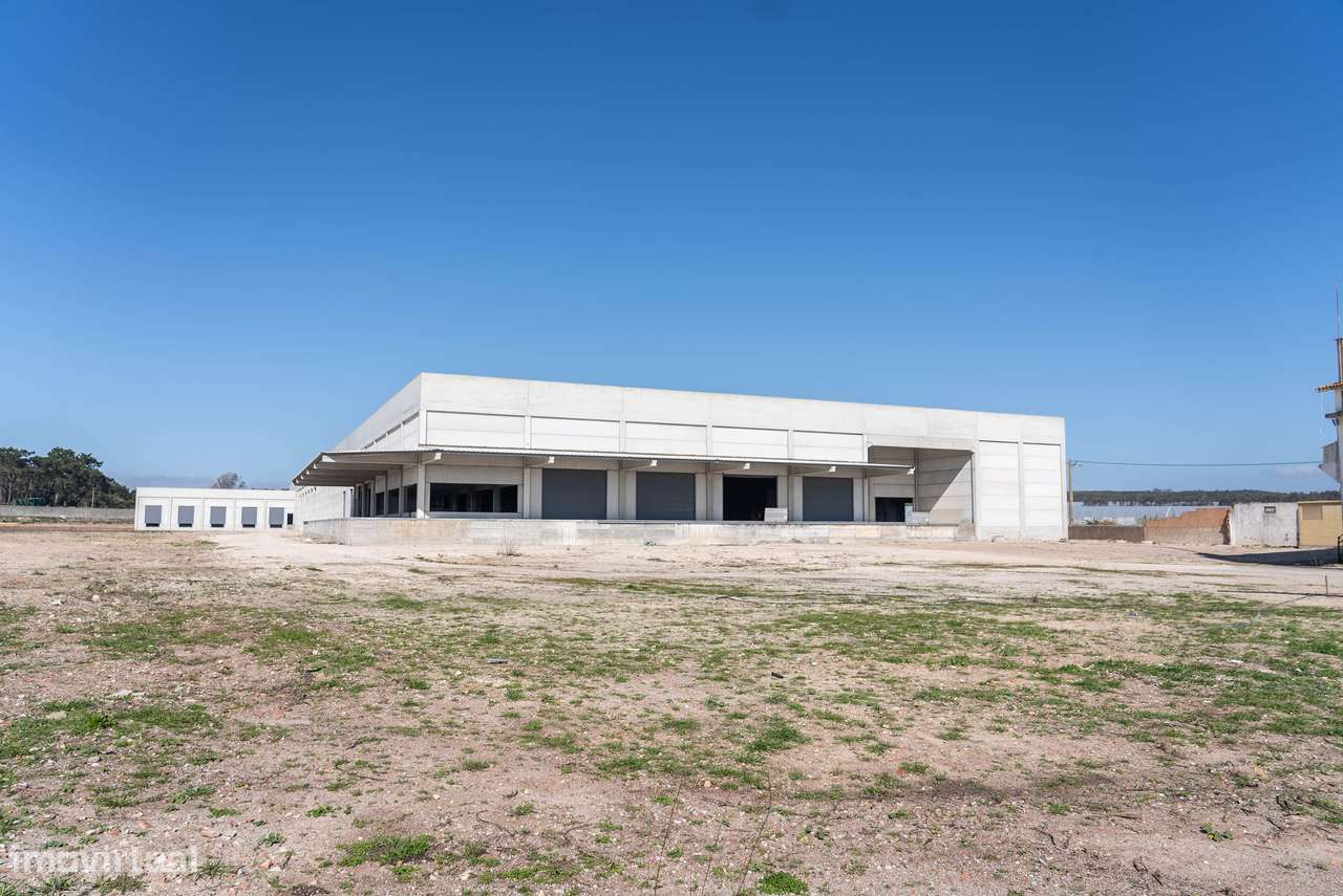 Oportunidade Única: Propriedade Versátil de 26.200 m² em A-dos-Cunhado - Grande imagem: 4/26