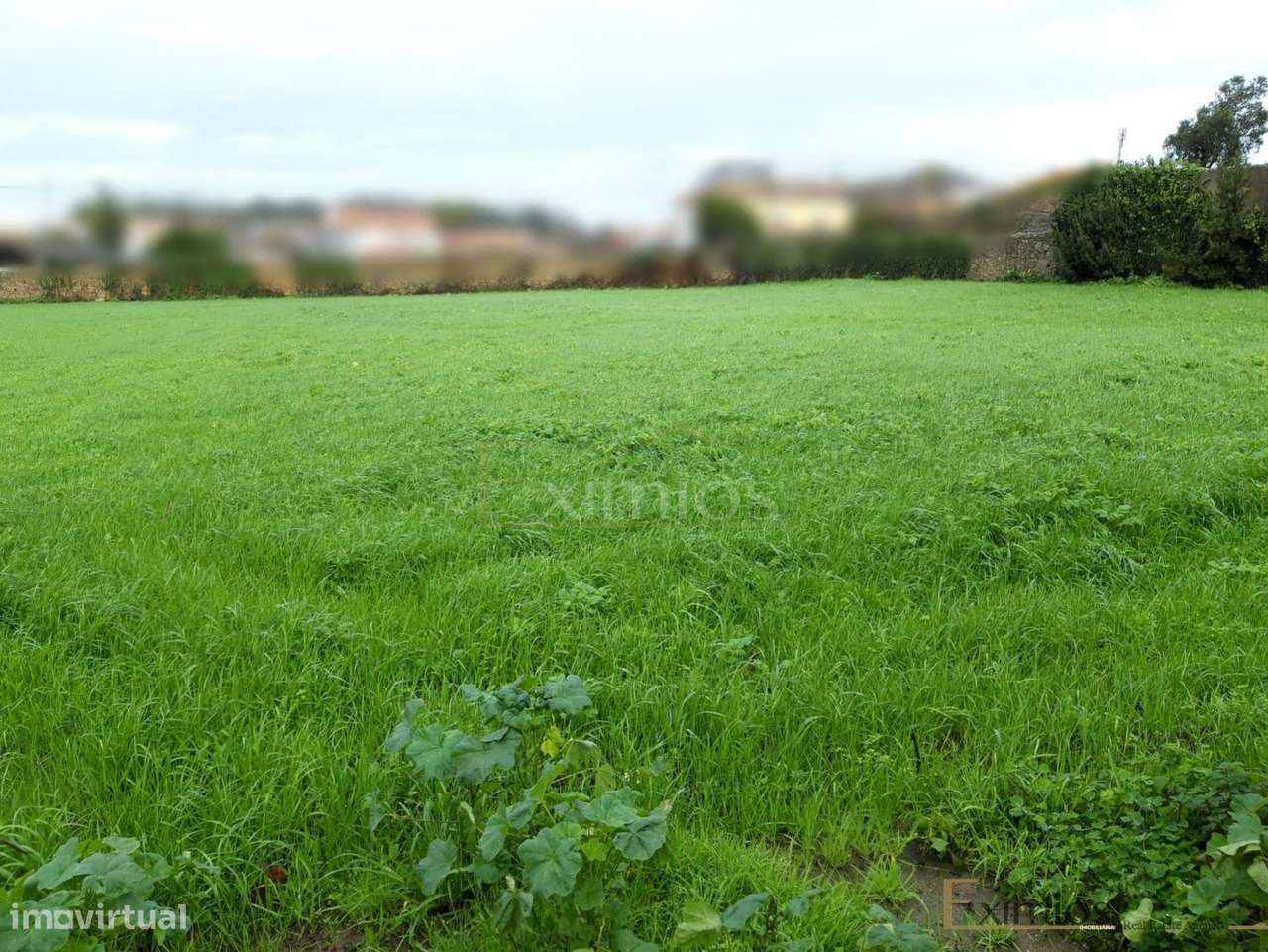Terreno para construção, em Touguinha - Grande imagem: 2/5