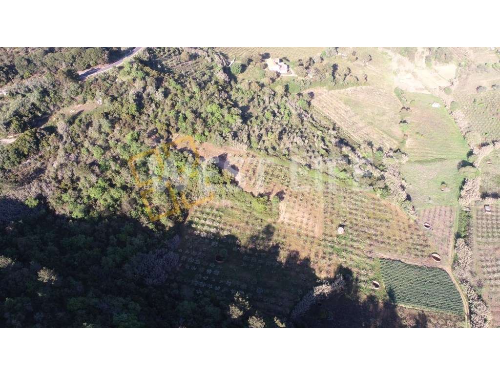 Terreno em Sobral de Abelheira - Terreno rústico com 24123m2 - Grande imagem: 2/15