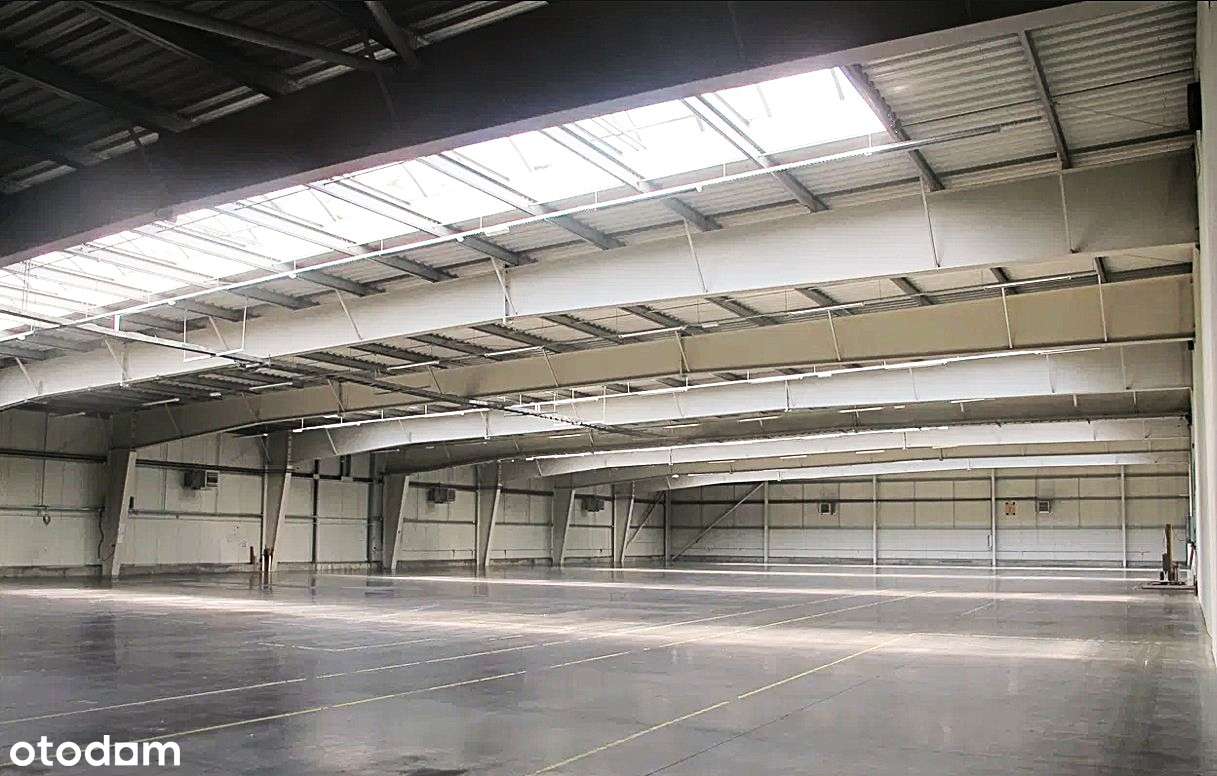Wysogotowo -hala produk.-magazyn 4290m2+biuro987m2 (siła) działka 1ha