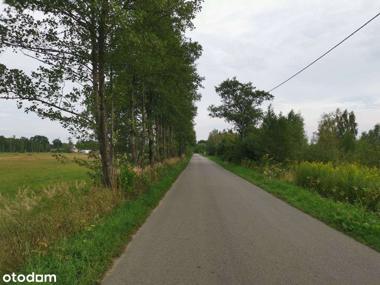 Bezpośrednio rolna znakomita lokata kapitału Sowia Wola - Pełny obrazek: 5/8