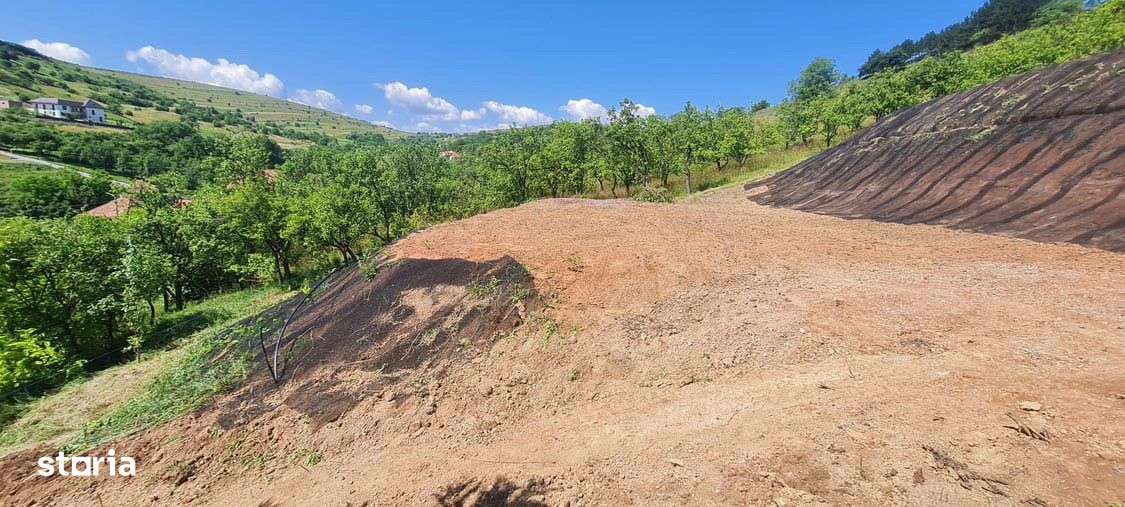 Teren intravilan, 729mp, Suceagu, Cluj - Imagine principală: 4/5