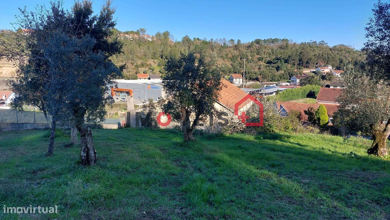 Moradia e terreno com seis mil metros quadrados! - Grande imagem: 3/34