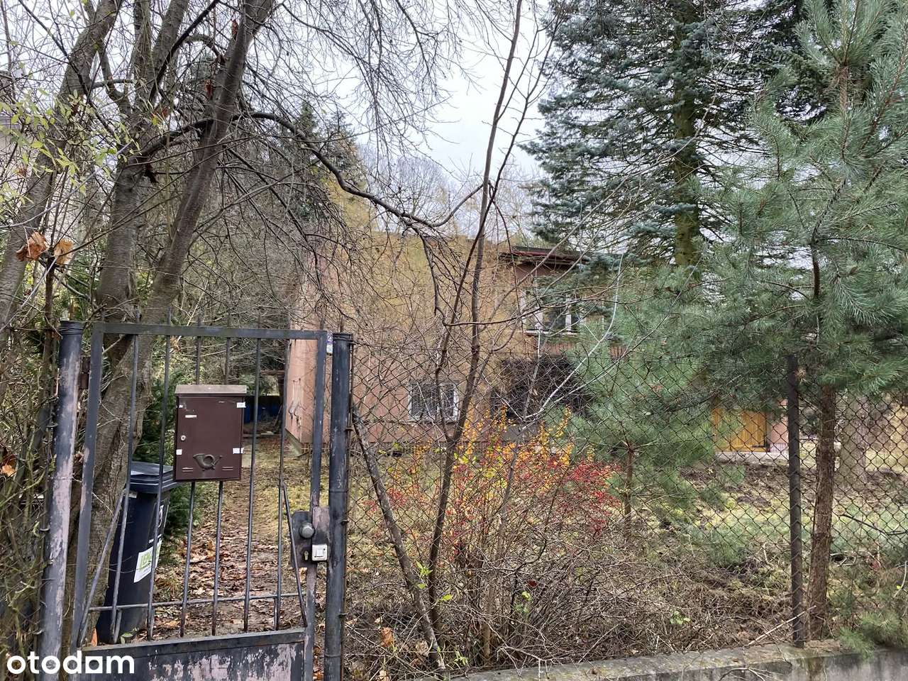 Dom wolnostojący z działką Międzylesie Kaczy Dół - Pełny obrazek: 5/5