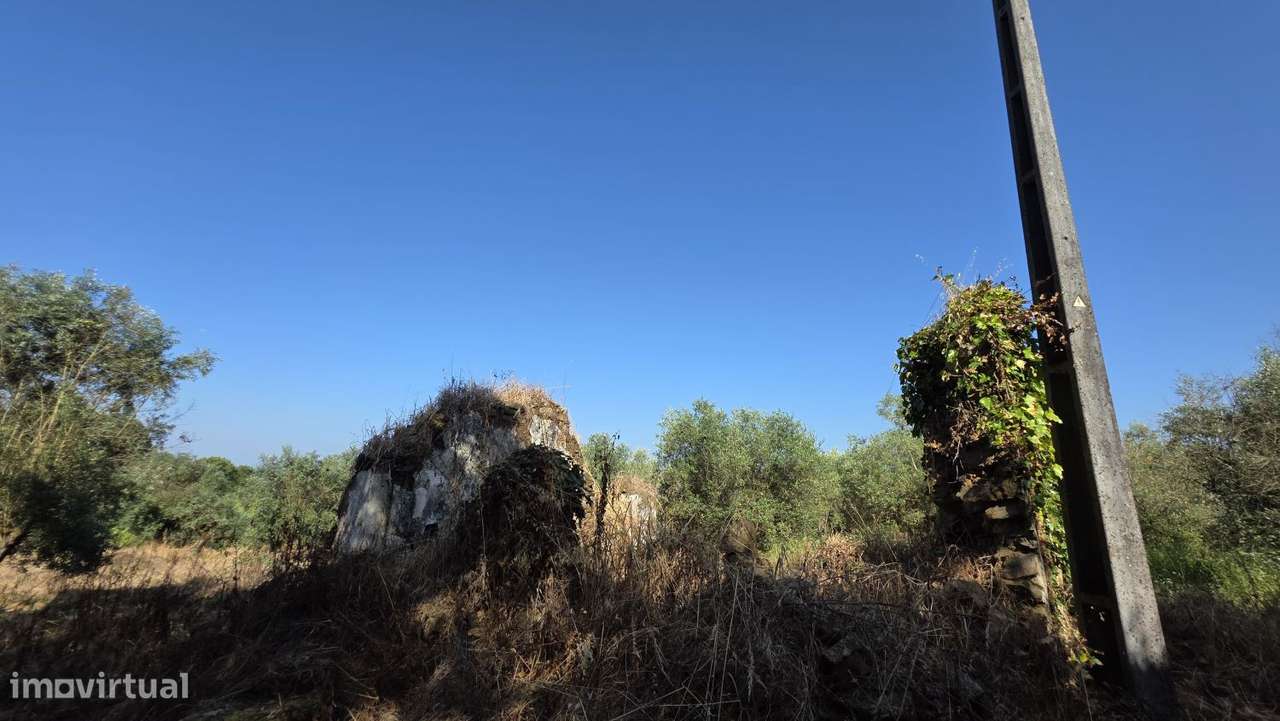 Ruína nas Olalhas a 3 kms de Ferreira do Zêzere e do Rio Zêzere - Grande imagem: 5/26