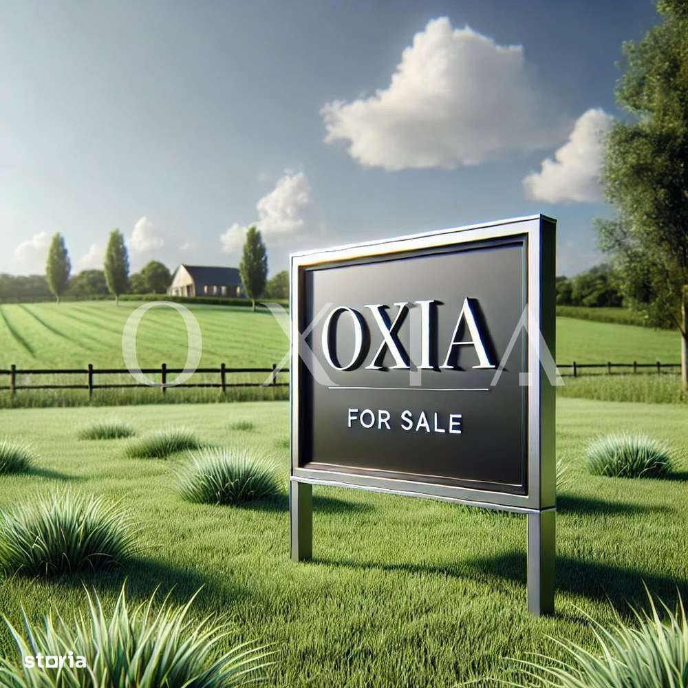 AX1105 Teren Intravilan Bucovat, Strada Principala, 40.600 MP - 16 Eur - Imagine principală: 4/4