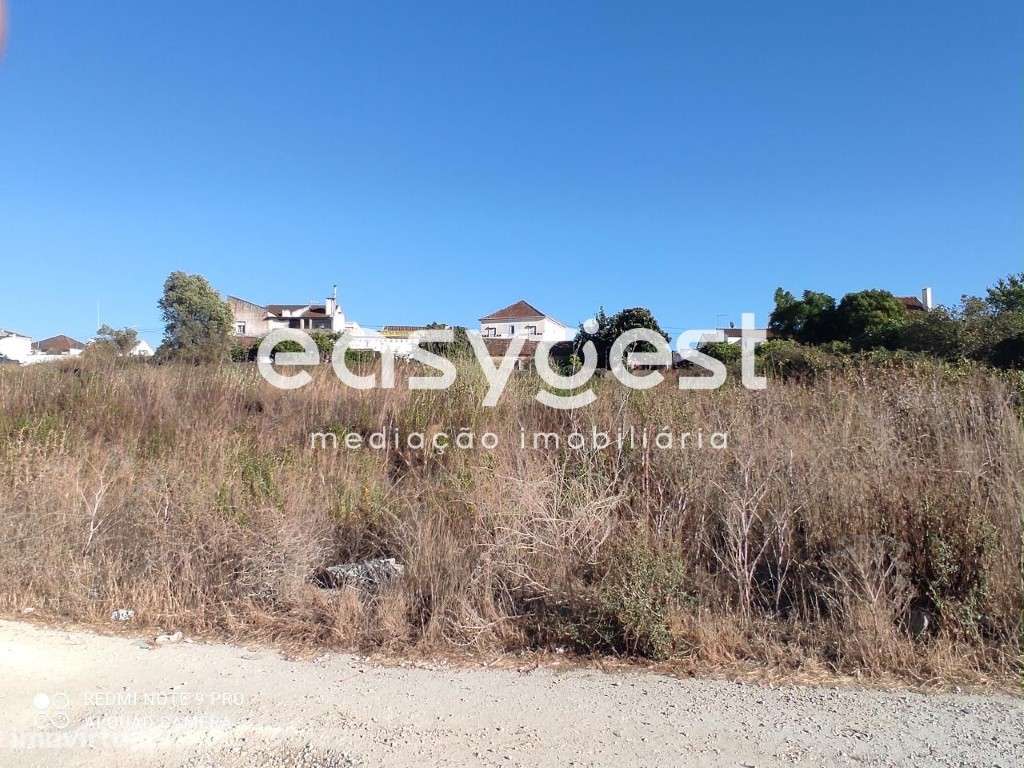 Terreno Urbano para construção, na periferia de Santarém - Grande imagem: 5/16