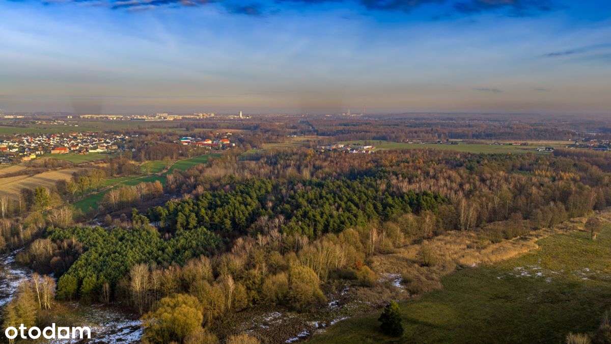 Działka Premium z prywatny lasem - 7,99ha-6