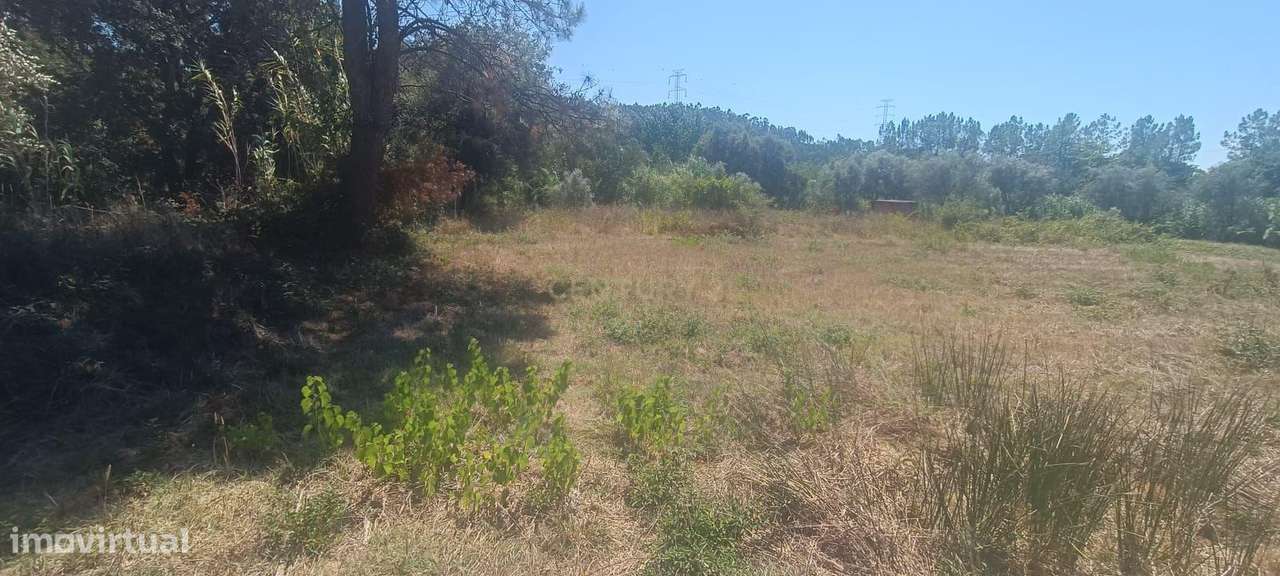 Terreno rústico com 2.970 m², situado numa zona calma e rodeada de nat - Grande imagem: 4/8
