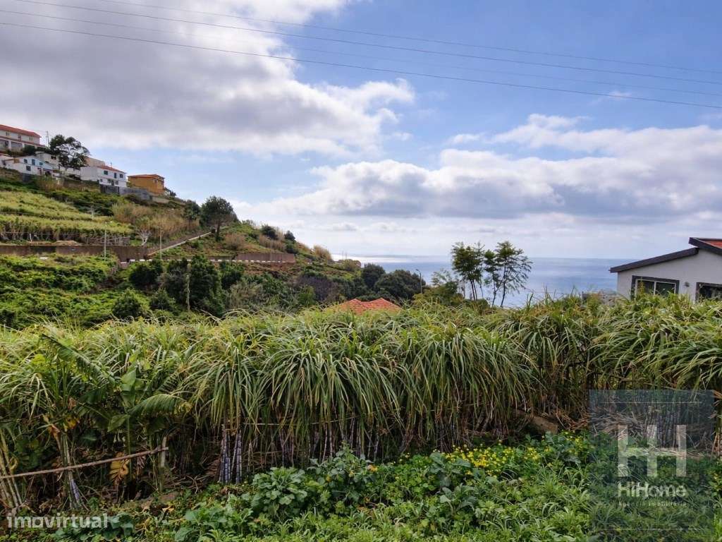 Terreno Rústico no Sítio da Pedra Mole, Ribeira Brava (Madeira) - Grande imagem: 3/16