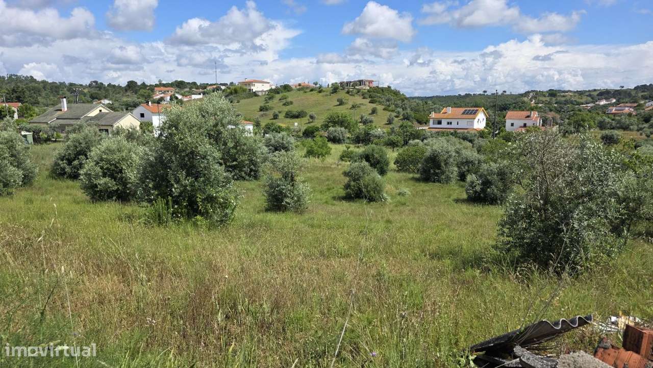 Excelente Terreno para Moradia a 5 kms de Tomar-4