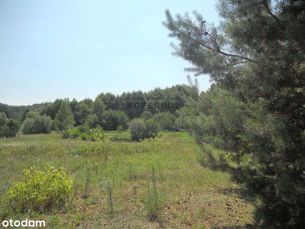 Blisko jeziora działka Ciechocin urocza. - Pełny obrazek: 1/1