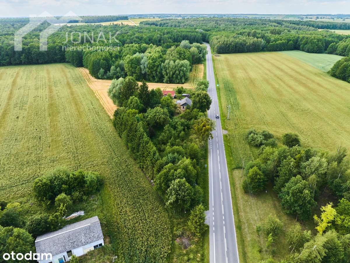 Siedlisko blisko lasu i zalewu - Pełny obrazek: 2/16