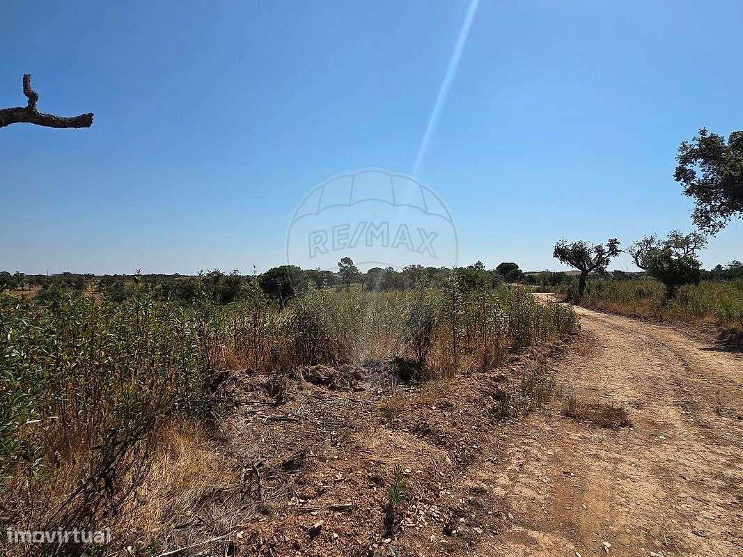 Terreno  para venda-21
