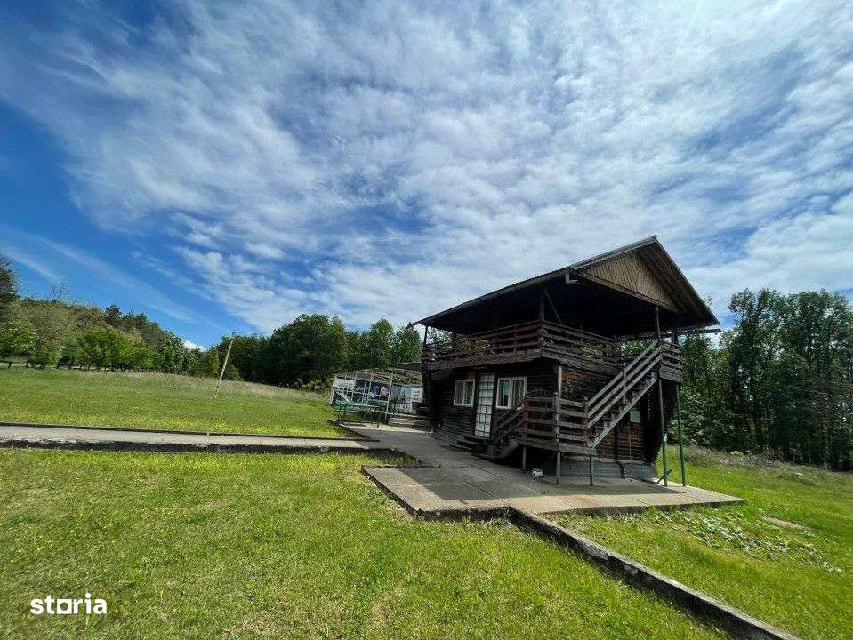 Vanzare teren *oportunitate investitie* in Carbunesti-Sat, la DN 67 B - Imagine principală: 2/9