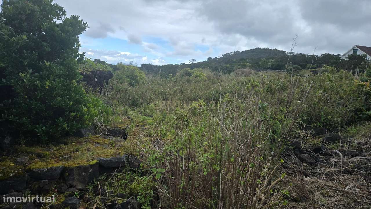 Terreno Urbano em Santo António, Ilha do Pico - Grande imagem: 5/5