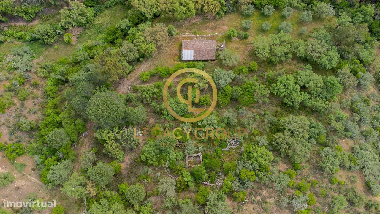 Quinta de 6 hectares perto de São Martinho das Amoreiras-8