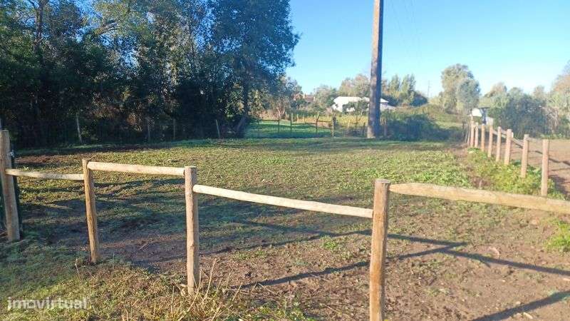 5.000 m2 a 300m do açude em Coimbra com infraestruturas para cavalos - Grande imagem: 5/8