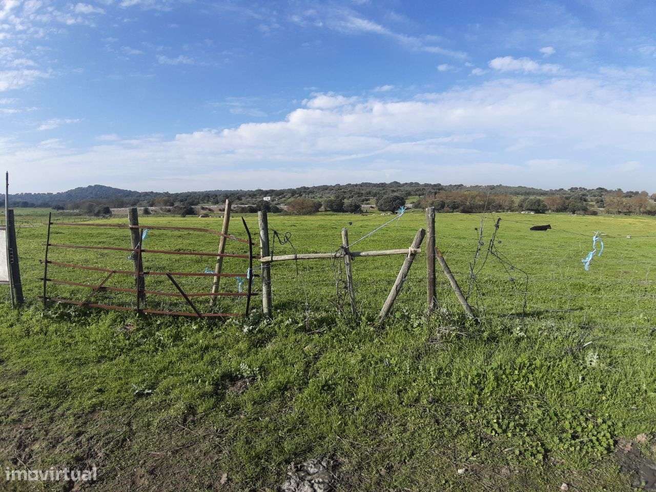 VENDA JUDICIAL I ARMAZÉM com terreno de 1.65 HECT-12