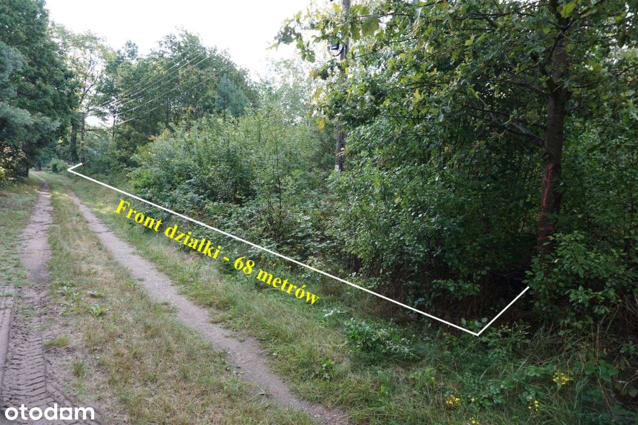Działka 1596 m² na skraju lasu, Sobień, Białaczów-6
