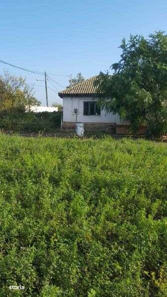 Vand casa cu teren, localitatea Sinoe, comuna Mihai Viteazu - Imagine principală: 4/6