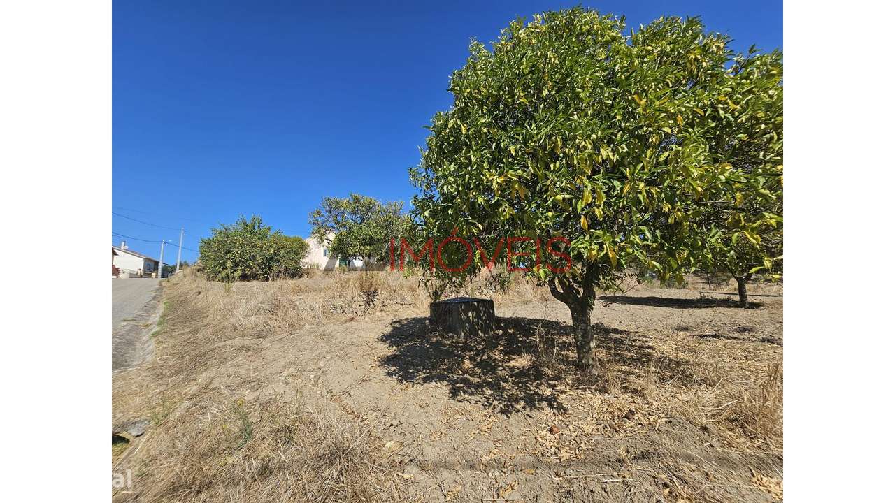 Moradia Rústica T2+1 Terreno com 3.480m2-41