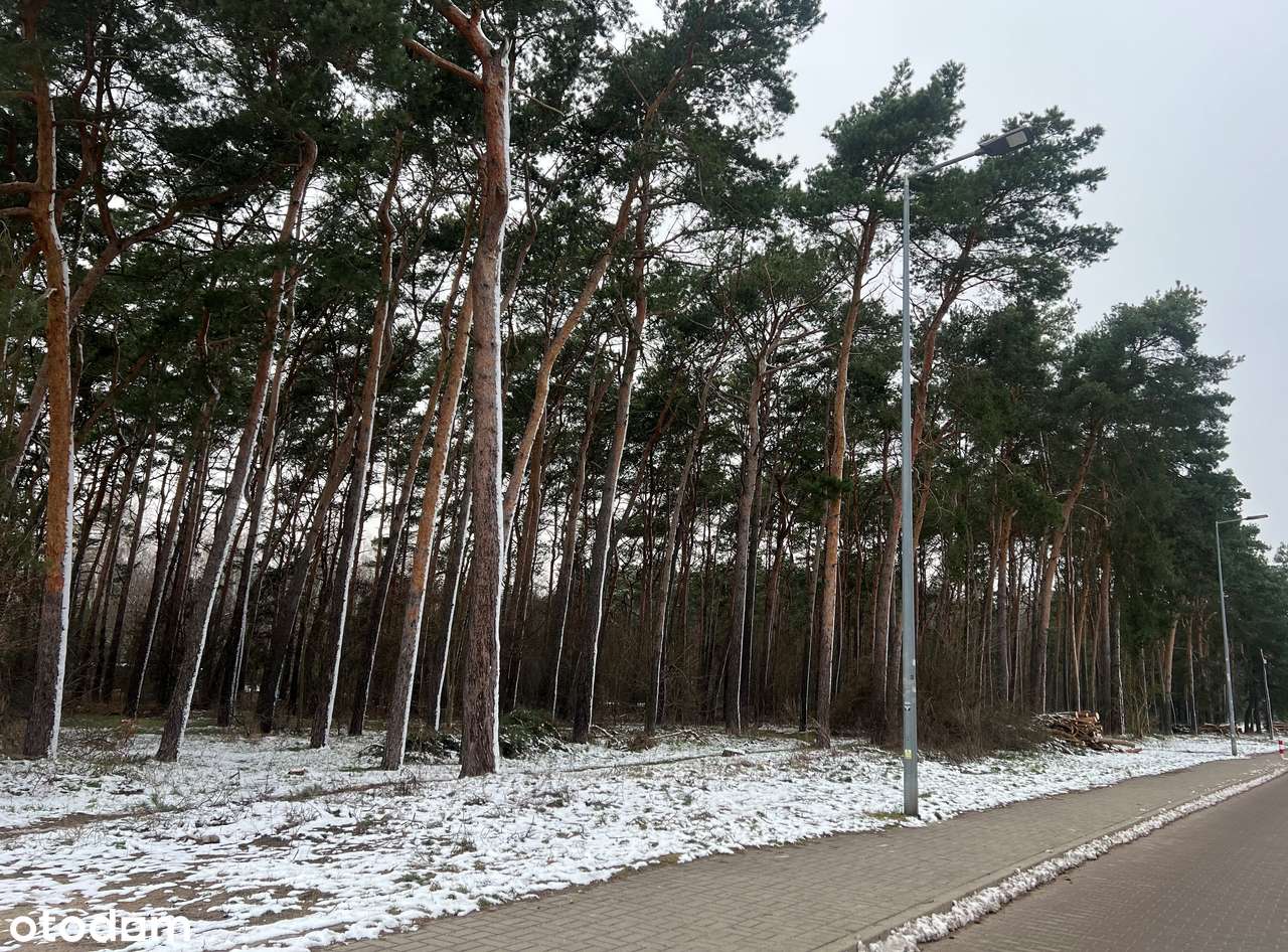 Kolejna działka budowlana - świetna lokalizacja !-1