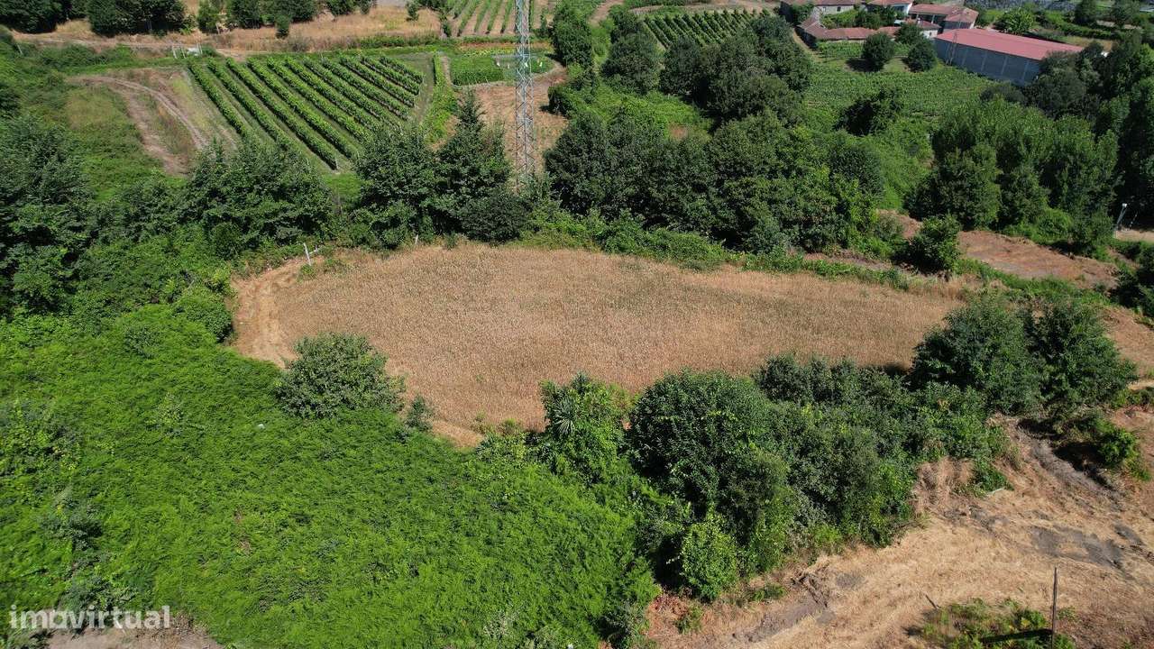 Quinta com mais de 2 Hectares, entre A4 e A42 | Turismo Rural &...-5