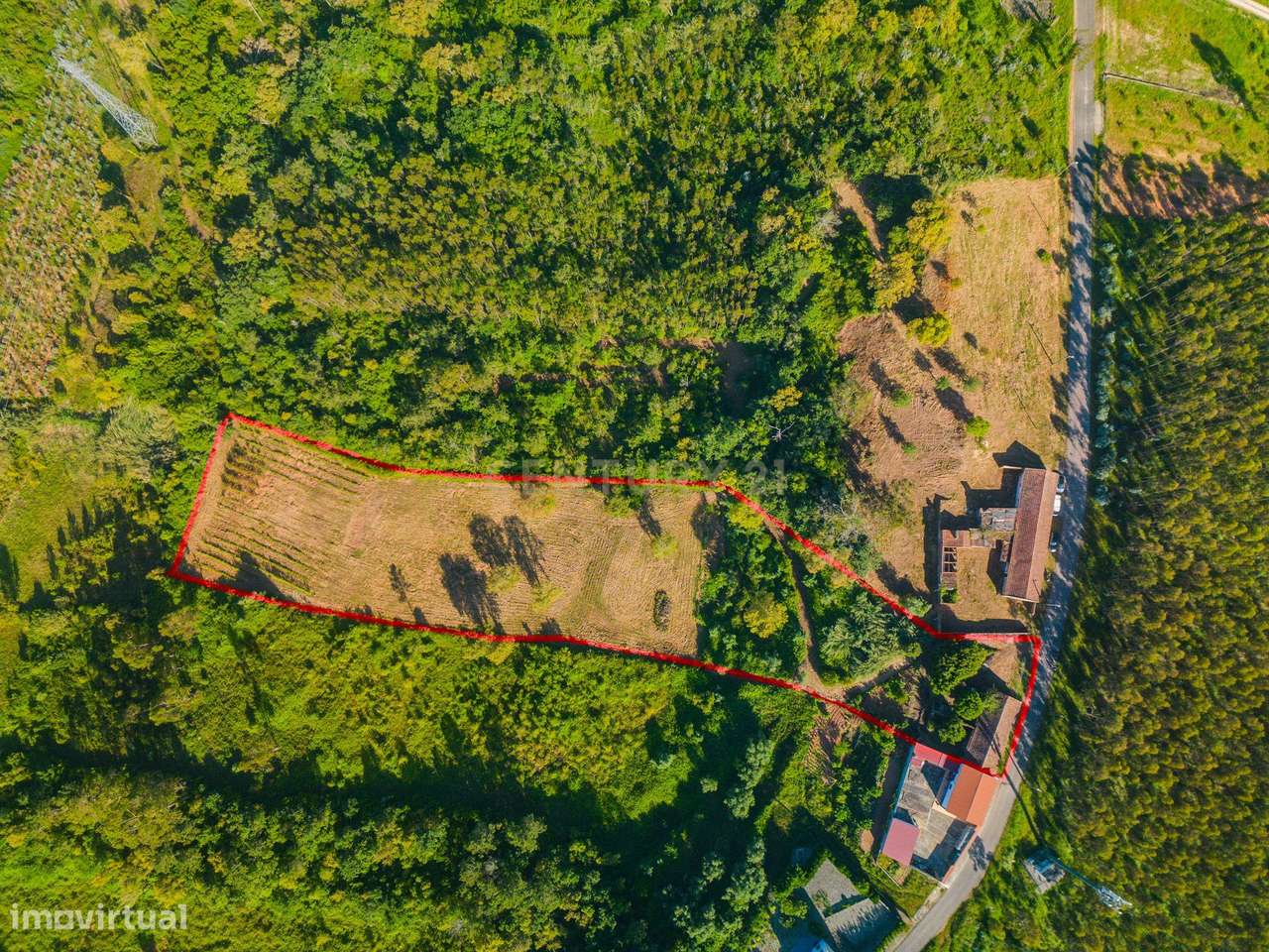 Armazém e Terreno rústico | Vidais | Caldas da Rainha - Grande imagem: 4/14