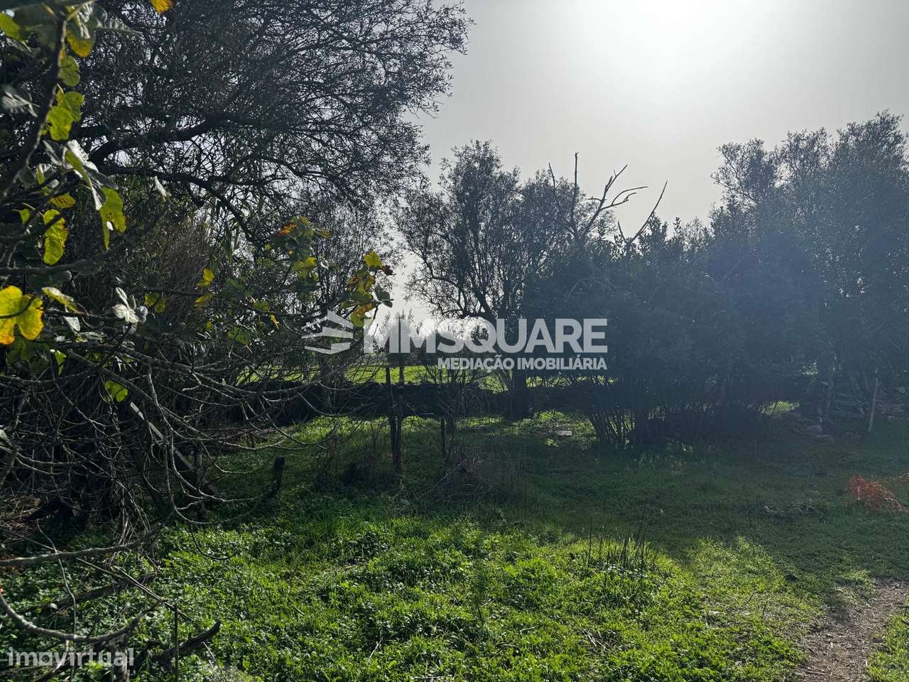 Quintinha T3 Venda em Ourique,Ourique-26