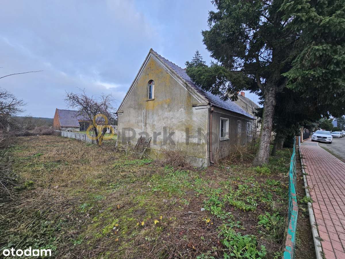 Dom + budynek gospodarczy / duża działka !! - Pełny obrazek: 4/19