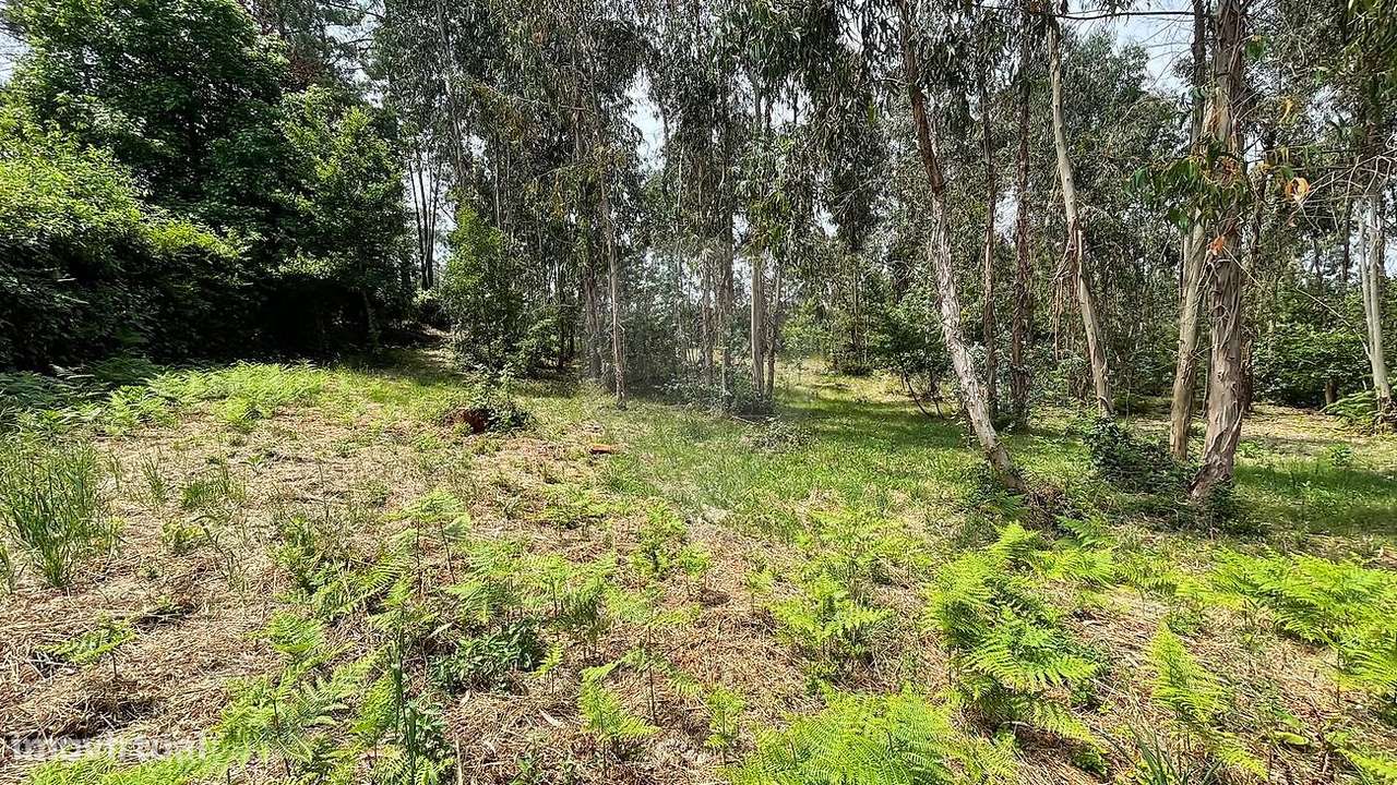 Terreno  para venda - Grande imagem: 3/6