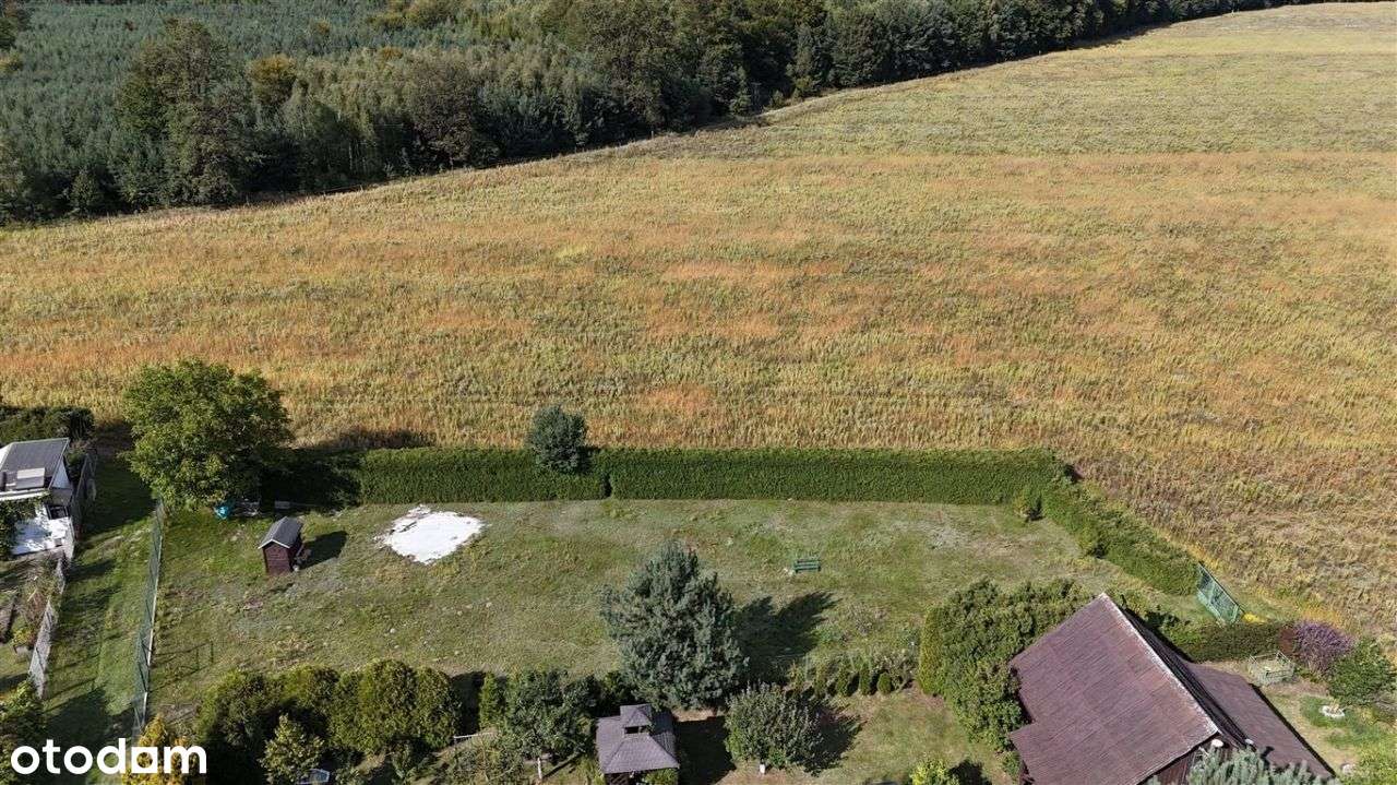 Dzałka blisko lasu - budowlano-rekreacyjna-2