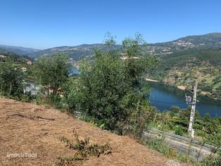 Moradia V9 | 1.6Ha de terreno | Vista sobre o rio Douro