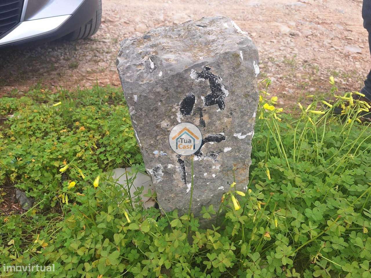 Terreno Rústico - Grande imagem: 4/13